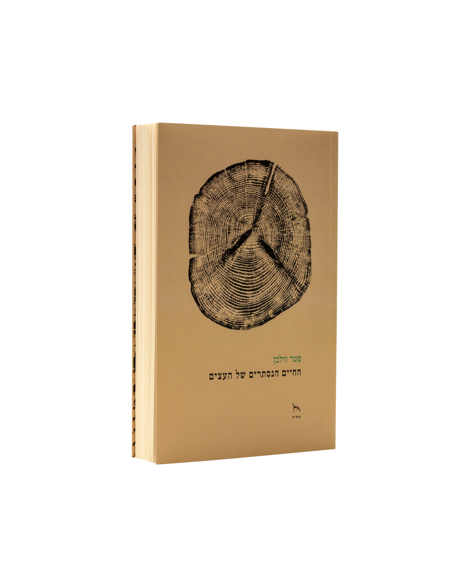 תמונה ממוזערת 1